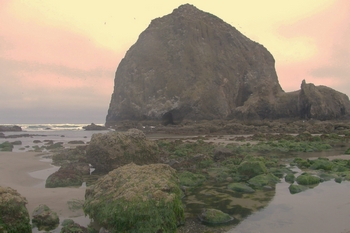 Oregon Coast I