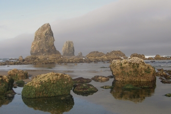 Oregon Coast II