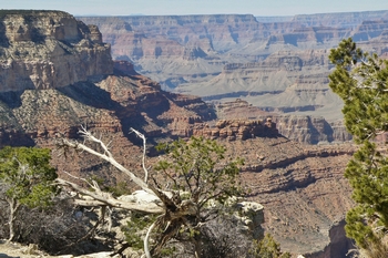 Grand Canyon II, Arizona 