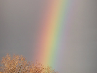 Rainbow over Chino Valley