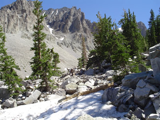 High in the mountains of Great Basin National Park.