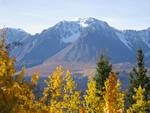 Yukon Autumn