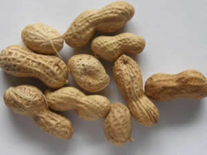 Unshelled peanuts