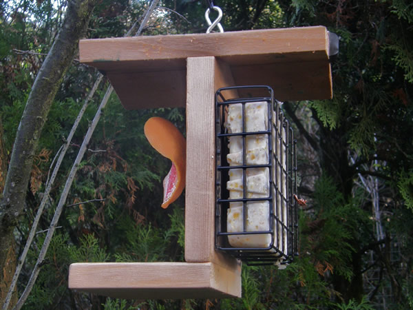 Fruit and suet feeder hung up