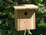 Traditional Nest Box 
