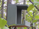 Platform Nest Box for Robins