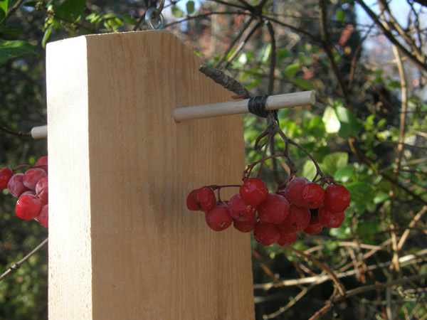Berries are attached to the dowel