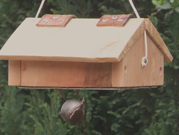 Upside down feeder