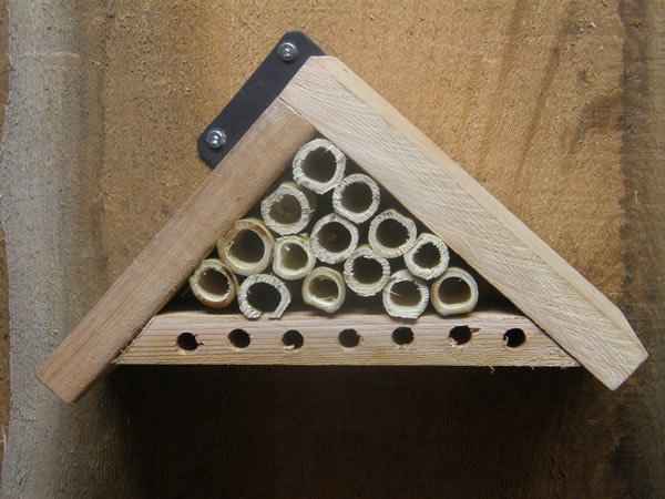 Bee Nesting Block